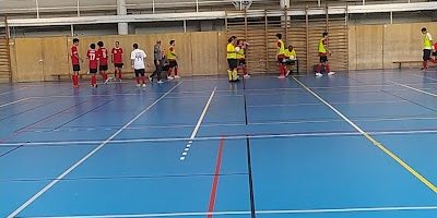 CFO Clube Futsal Oeiras