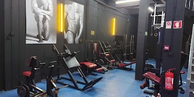 Muscle Factory 2