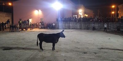 Grupo Desportivo União Lebrense